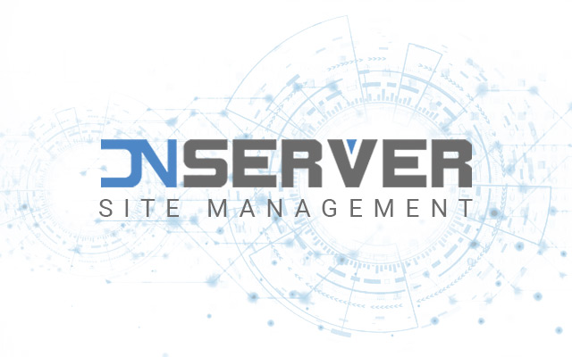 DN Server (DNS) logo